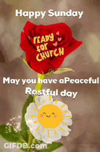 A Happy Sunday Message With A Red Rose And A White Flower GIF