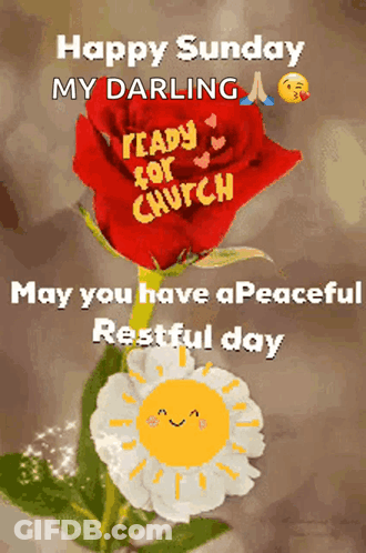 A Happy Sunday Message With A Red Rose And A White Flower GIF