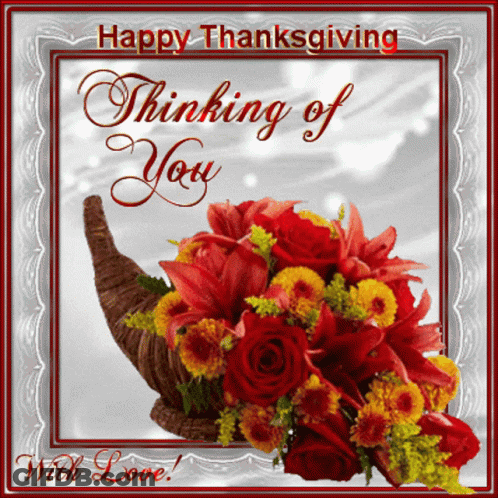 Thanksgiving Card With Cornucopia And Flowers GIF