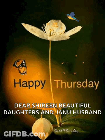 A Happy Thursday Card With A Flower And A Butterfly GIF