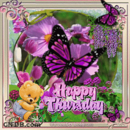 A Happy Thursday Greeting Card With A Teddy Bear Riding A Bike GIF