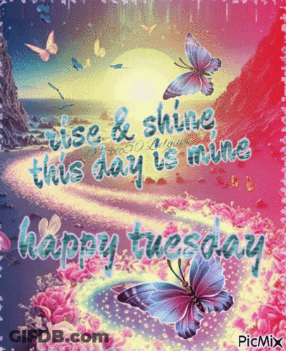 A Happy Tuesday Card With Butterflies And Flowers GIF
