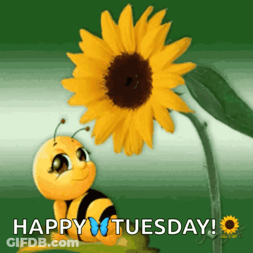 A Happy Tuesday Greeting Card With A Bee And Sunflower GIF