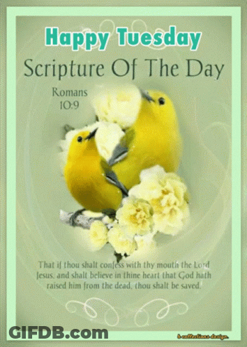 A Happy Tuesday Scripture Of The Day From Romans GIF