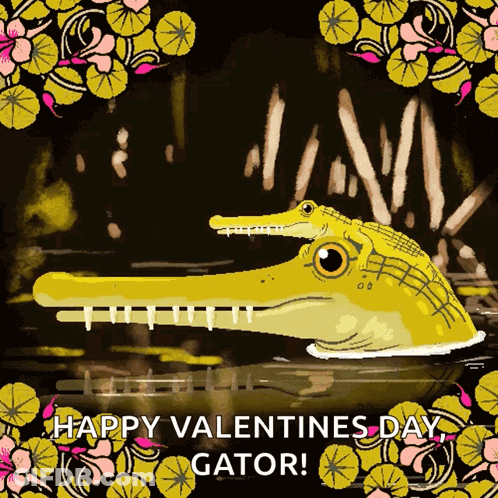 A Happy Valentines Day Gator Greeting Card With An Alligator GIF