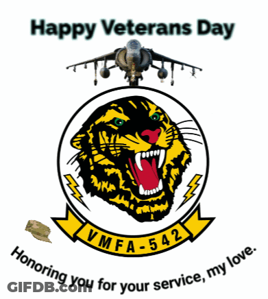 A Happy Veterans Day Poster With A Tiger And An Airplane GIF