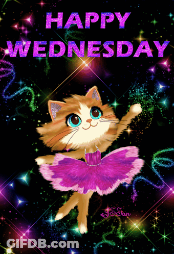 A Happy Wednesday Card With A Cat Wearing A Purple Tutu GIF