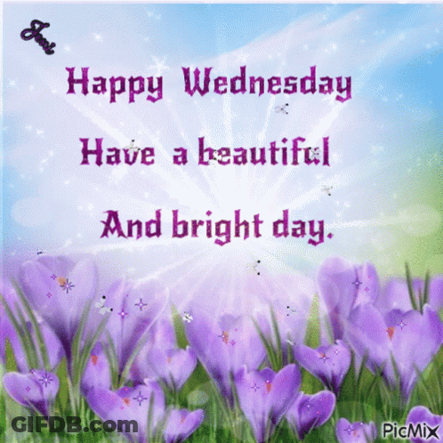 A Happy Wednesday Card With Purple Flowers And The Words Have A Beautiful And Bright Day GIF