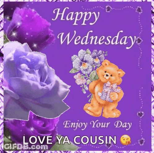 A Happy Wednesday Card With Purple Roses And A Teddy Bear Holding A Bouquet Of Flowers GIF