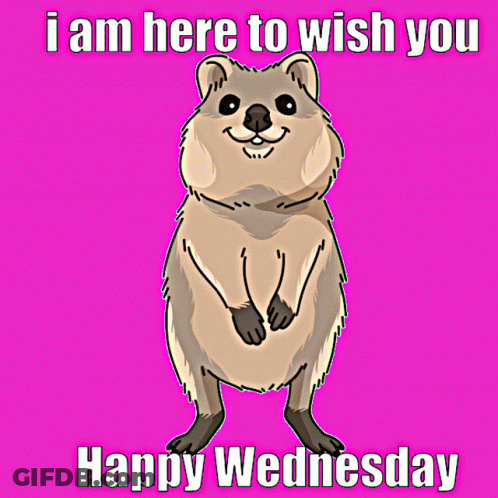 A Happy Wednesday Greeting Card With A Cartoon Animal GIF