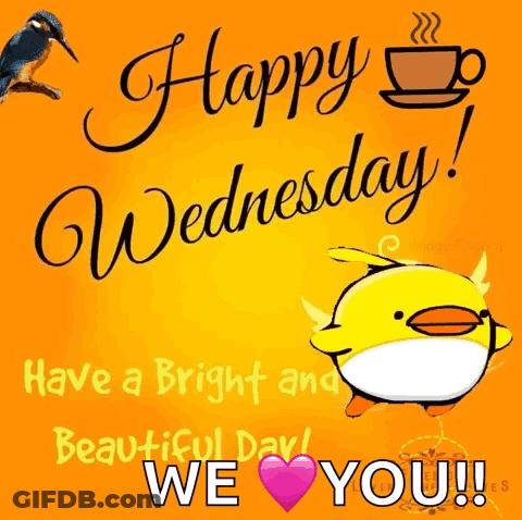 A Happy Wednesday Greeting Card With A Cartoon Duck And A Cup Of Coffee GIF
