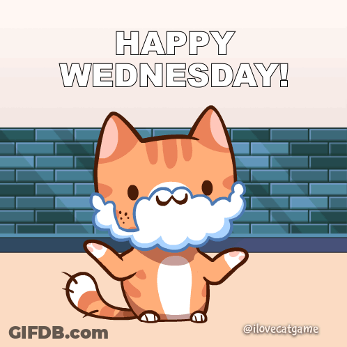 A Happy Wednesday Greeting Card With A Cat With Foam On Its Face GIF