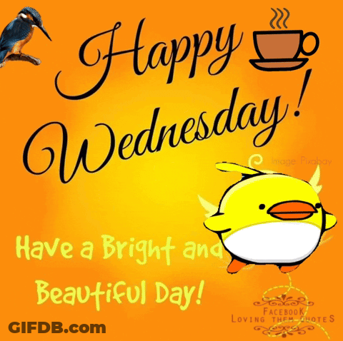 A Happy Wednesday Greeting Card With A Yellow Duck And A Cup Of Coffee GIF