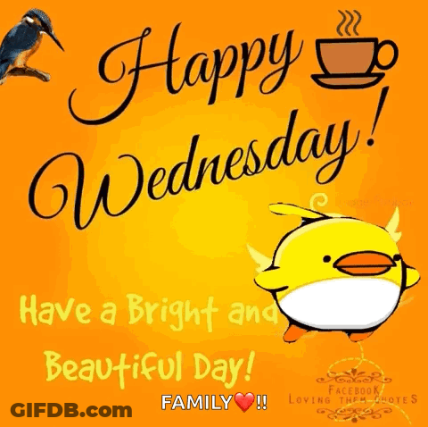 A Happy Wednesday Greeting Card With A Yellow Duck And A Cup Of Coffee GIF