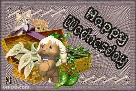 A Happy Wednesday Greeting Card With Cats And Flowers GIF