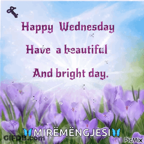 A Happy Wednesday Message With Purple Flowers GIF
