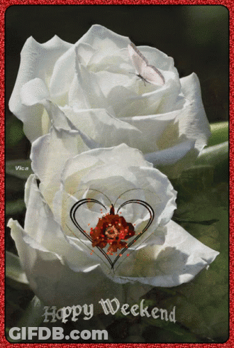 A Happy Weekend Card With Two White Roses And A Heart In The Middle GIF