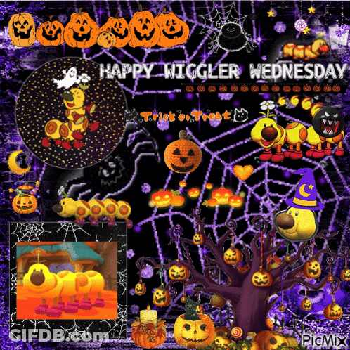 A Happy Wiggler Wednesday Greeting With A Spider Web And Pumpkins GIF