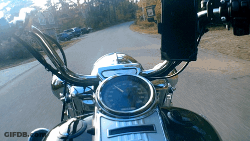 A Harley Davidson Motorcycle Driving Down A Road GIF