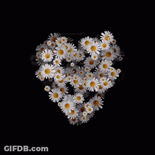 A Heart Made Of Daisies On A Black Background With The Word Honey On The Bottom GIF