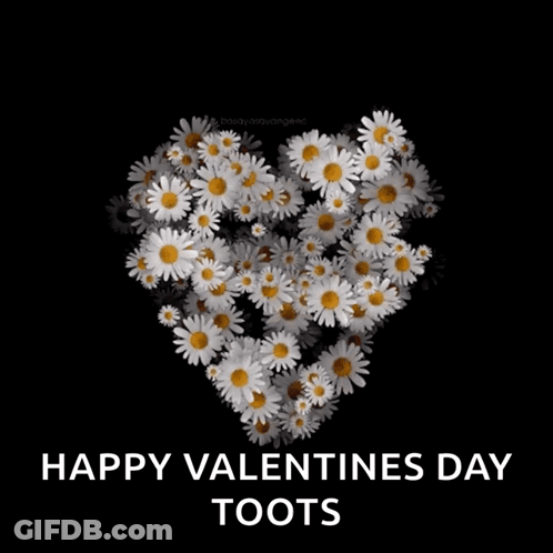 A Heart Made Of Daisies With The Words " Happy Valentines Day Toots " Below It GIF