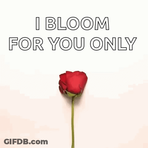 A Heart Made Out Of Rose Petals With The Words `` I Bloom For You Only '' Written On It . GIF
