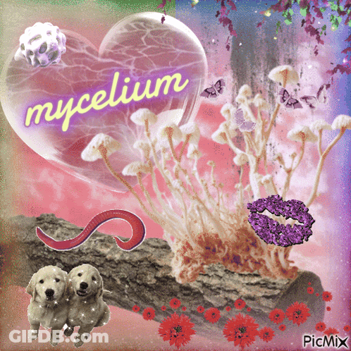 A Heart Shaped Balloon With The Word Mycelium Written On It GIF