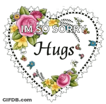 A Heart Shaped Frame With Flowers And The Words `` Im So Sorry Hugs '' . GIF