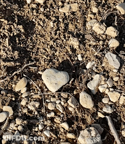 A Heart Shaped Rock Is Laying On The Ground GIF
