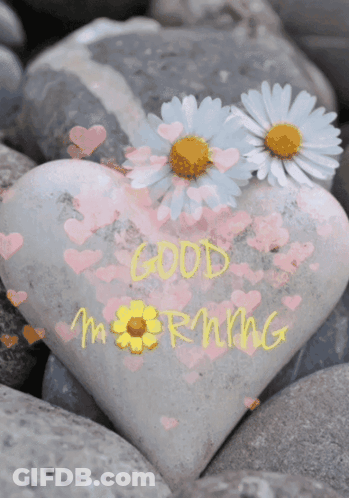 A Heart Shaped Rock Says Good Morning With Flowers On It GIF