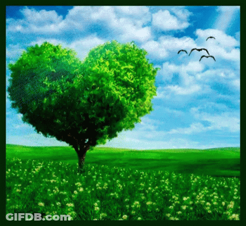 A Heart Shaped Tree In The Middle Of A Field GIF