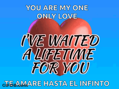 A Heart With The Words " You Are My One Only Love I 'Ve Waited A Lifetime For You " On It GIF