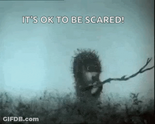 A Hedgehog Is Holding A Branch In Its Mouth And Saying `` It 'S Ok To Be Scared ! '' GIF