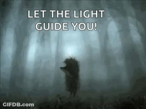 A Hedgehog Is Standing In The Middle Of A Dark Forest With The Words Let The Light Guide You . GIF
