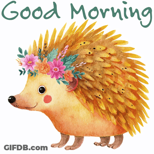 A Hedgehog With A Flower Crown On Its Head And The Words Good Morning Below It GIF