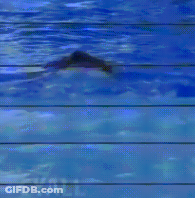 A Helicopter Is Flying Over A Body Of Water With The Words Fly All Visible GIF