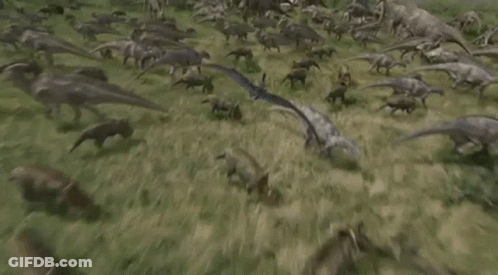 A Herd Of Dinosaurs Standing In A Grassy Field With A Bird Flying Overhead . GIF
