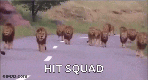 A Herd Of Lions Are Walking Down A Road With The Words `` Hit Squad '' Written On The Bottom . GIF
