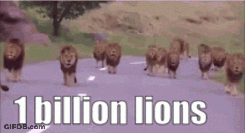 A Herd Of Lions Walking Down A Road With The Words `` 1 Billion Lions '' Above Them . GIF