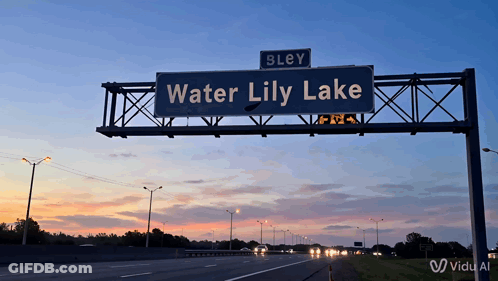 A Highway Sign That Says Water Lily Lake On It GIF