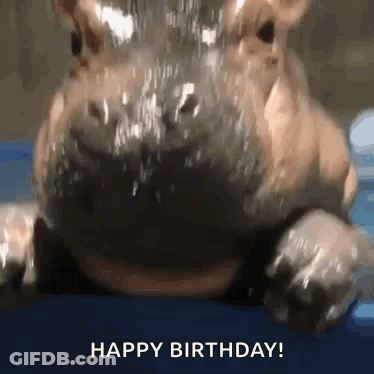 A Hippopotamus Is Laying On A Blue Surface With Water Coming Out Of Its Nose . GIF