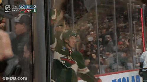 A Hockey Game Is Being Played Between The Seahawks And The Wild GIF