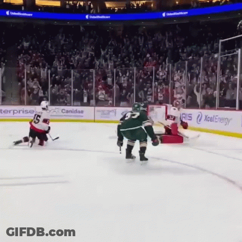 A Hockey Game Is Being Played In A Stadium With Advertisements For Canidas And Xcel Energy GIF
