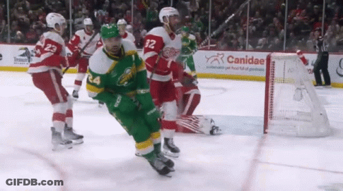 A Hockey Game Is Being Played In Front Of A Canidae Advertisement GIF