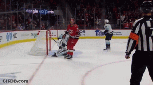 A Hockey Game Is Being Played In Front Of A Triangle Experts Banner GIF