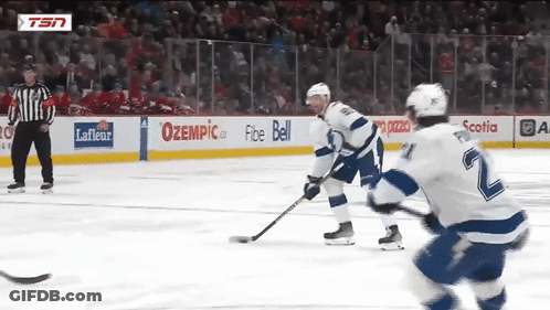 A Hockey Game Is Being Played In Front Of A Tsn Advertisement GIF