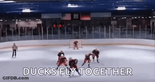 A Hockey Game Is Being Played On A Rink With The Words Ducks Fly Together Written On The Ice . GIF