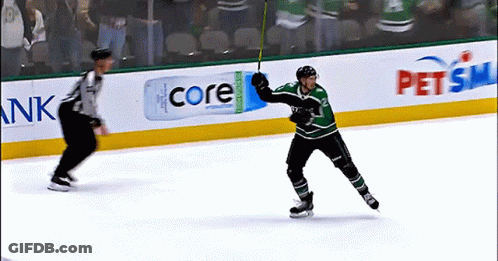 A Hockey Player Celebrates A Goal In Front Of An Advertisement For Petsmart GIF