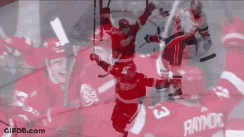 A Hockey Player In A Red Jersey With The Number 3 GIF