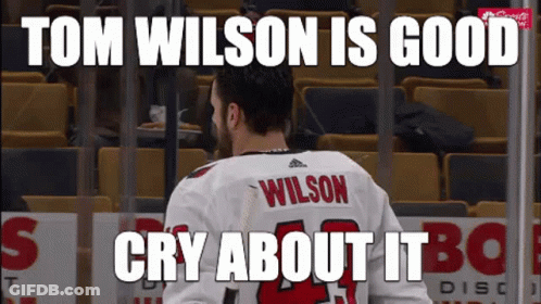 A Hockey Player In A White Jersey With The Name Wilson On It GIF